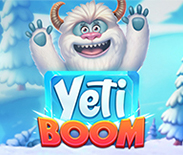 Yeti Boom FS